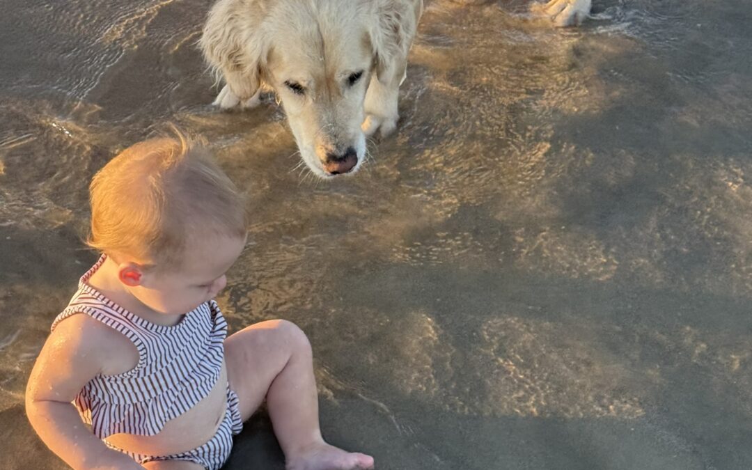 Bring the Whole Crew. Even the Furry One!